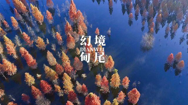 冰球突破游戏网站